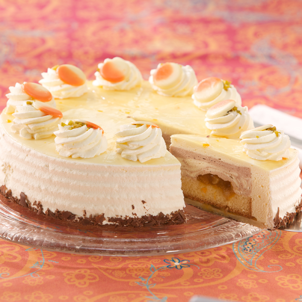 Marillen-Schokosahnetorte